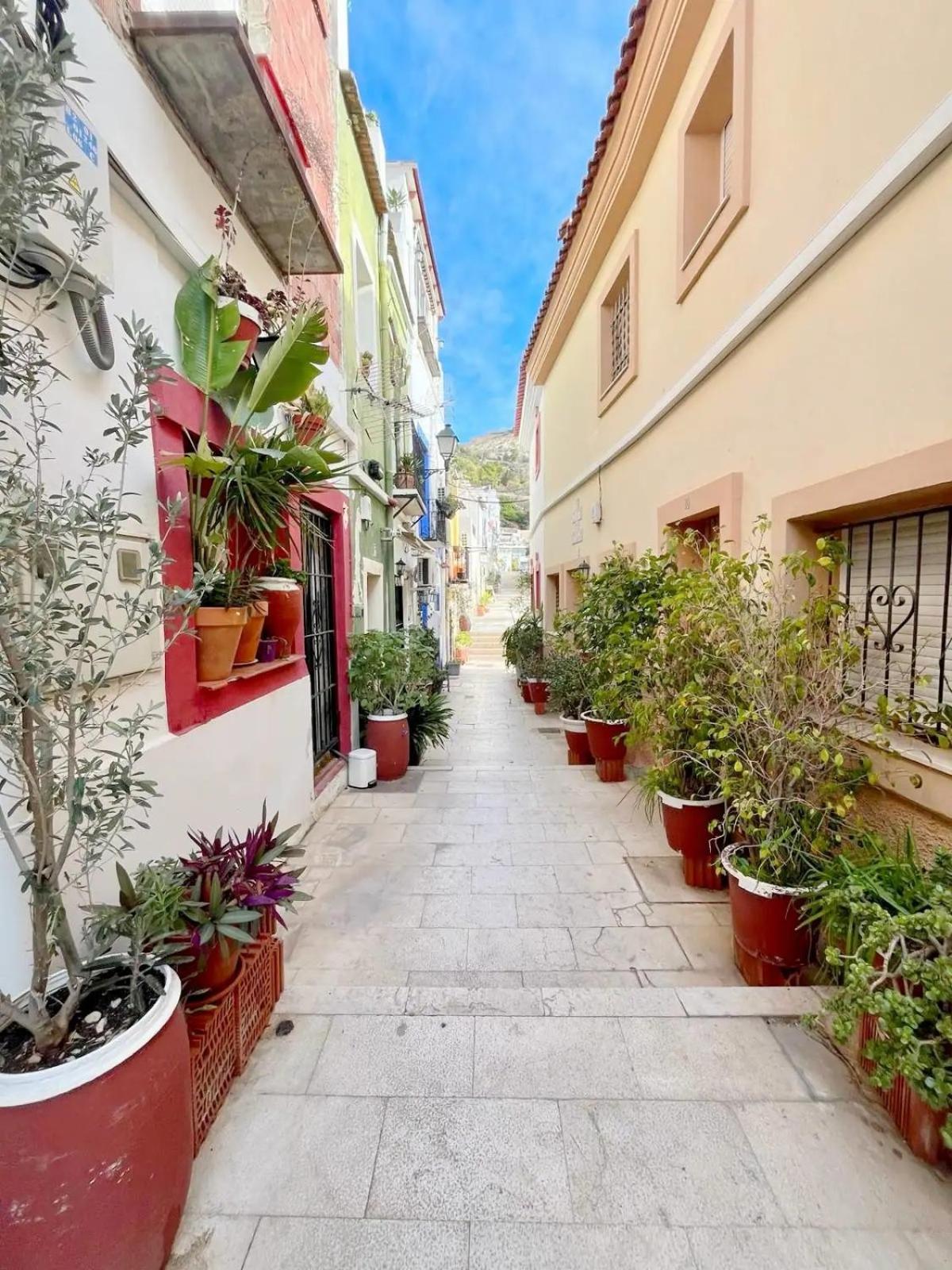 Apartamento En Casco Antiguo De 阿利坎特 外观 照片